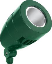 RAB Lighting HNLED18DCVG - LFLOOD 18W COOL LED 12V 24V DC NARROW REFLECTOR HBLED VERDE