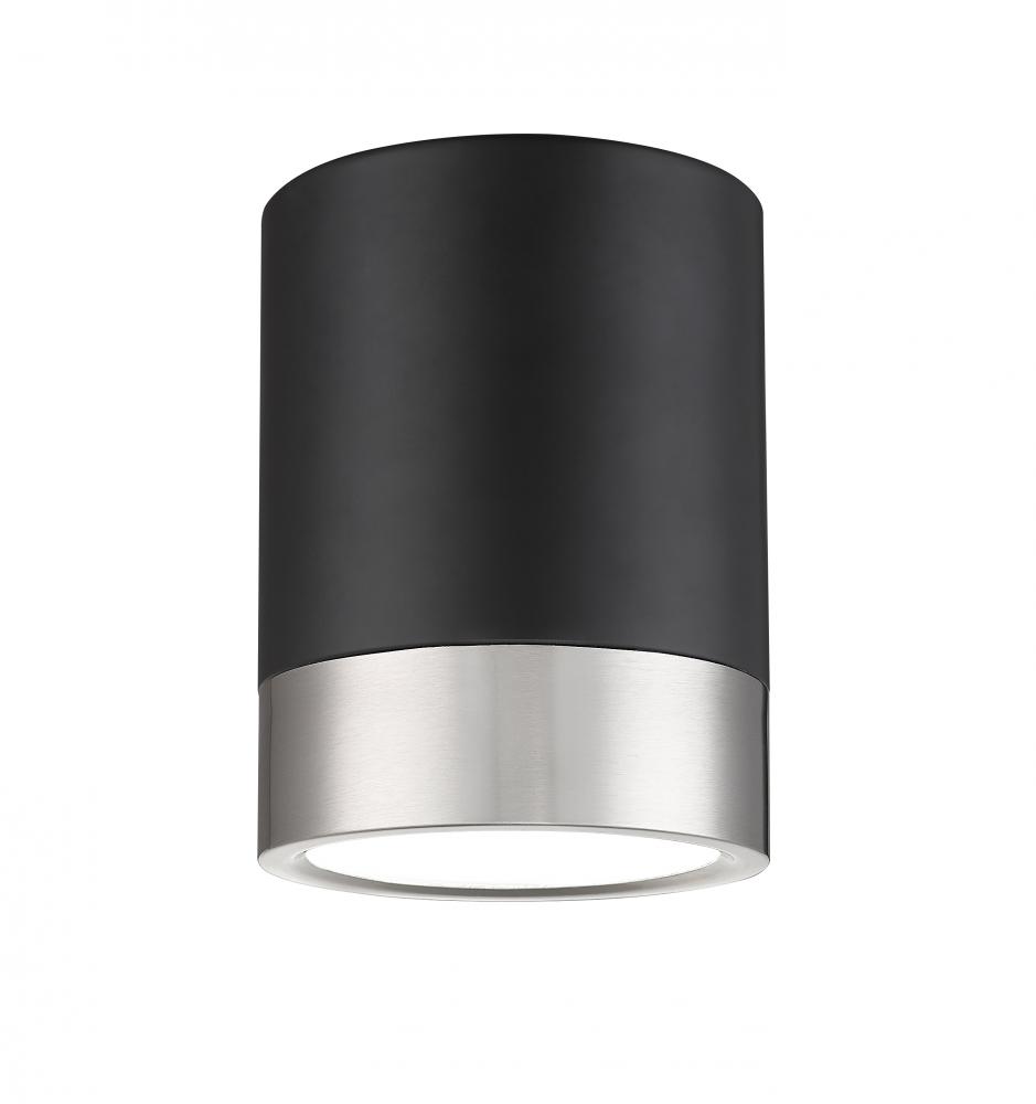 1 Light Flush Mount