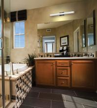 LED-Vanities-Application.jpg