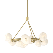 Hubbardton Forge 131069-SKT-MULT-86-FD0710 - Ume 9-Light Ring Pendant