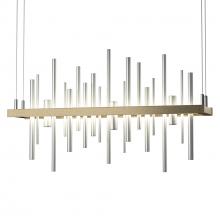 Hubbardton Forge 139725-LED-STND-84-82 - Cityscape LED Pendant