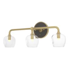 Hubbardton Forge 201342-SKT-86-14-ZM0709 - Ume 3-Light Curved Arm Bath Sconce