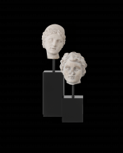 Currey 1200-0932 - Venus Head on Stand Set of 2